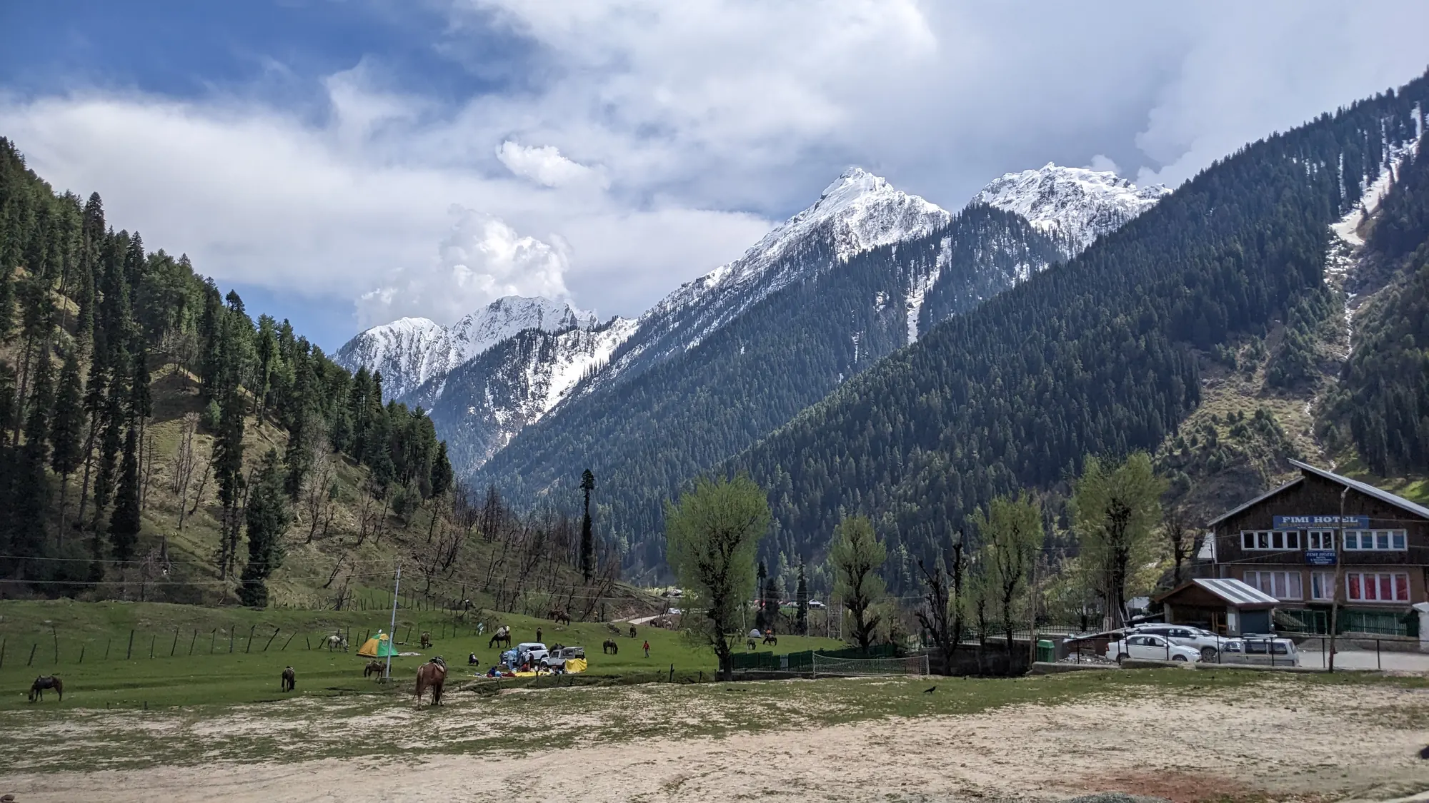 Snow-capped peaks and pine slopes above the open meadow and guest houses of Aru village near Pahalgam