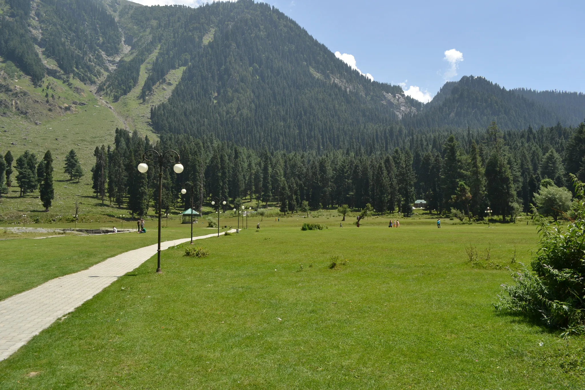 A flat paved path across the green meadow of Betaab Valley, with pine forest and mountains behind