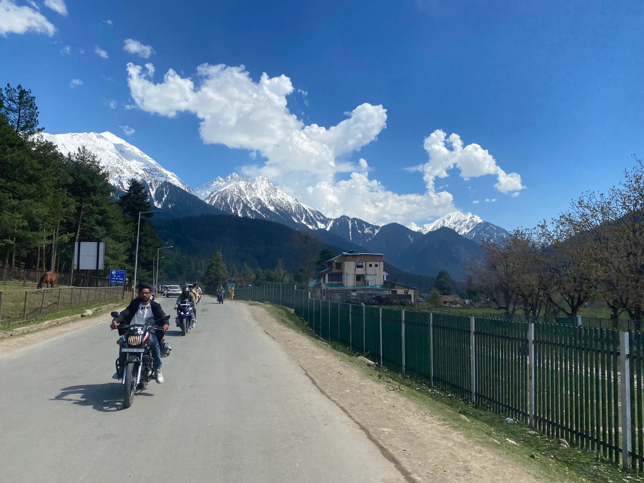 The road into Pahalgam lined with pines, with snow-capped Himalayan peaks ahead