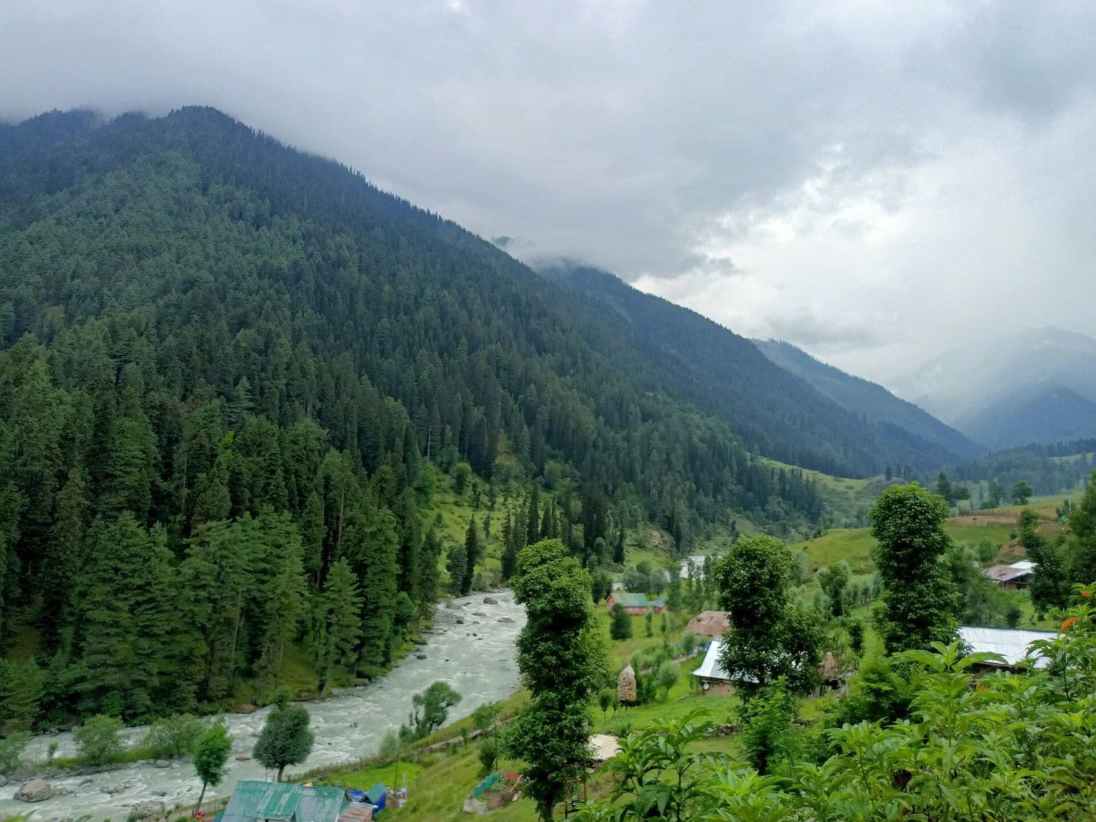 Pine-covered slopes and green meadows of Aru Valley near Pahalgam Pine-covered slopes and green meadows of Aru Valley near Pahalgam
