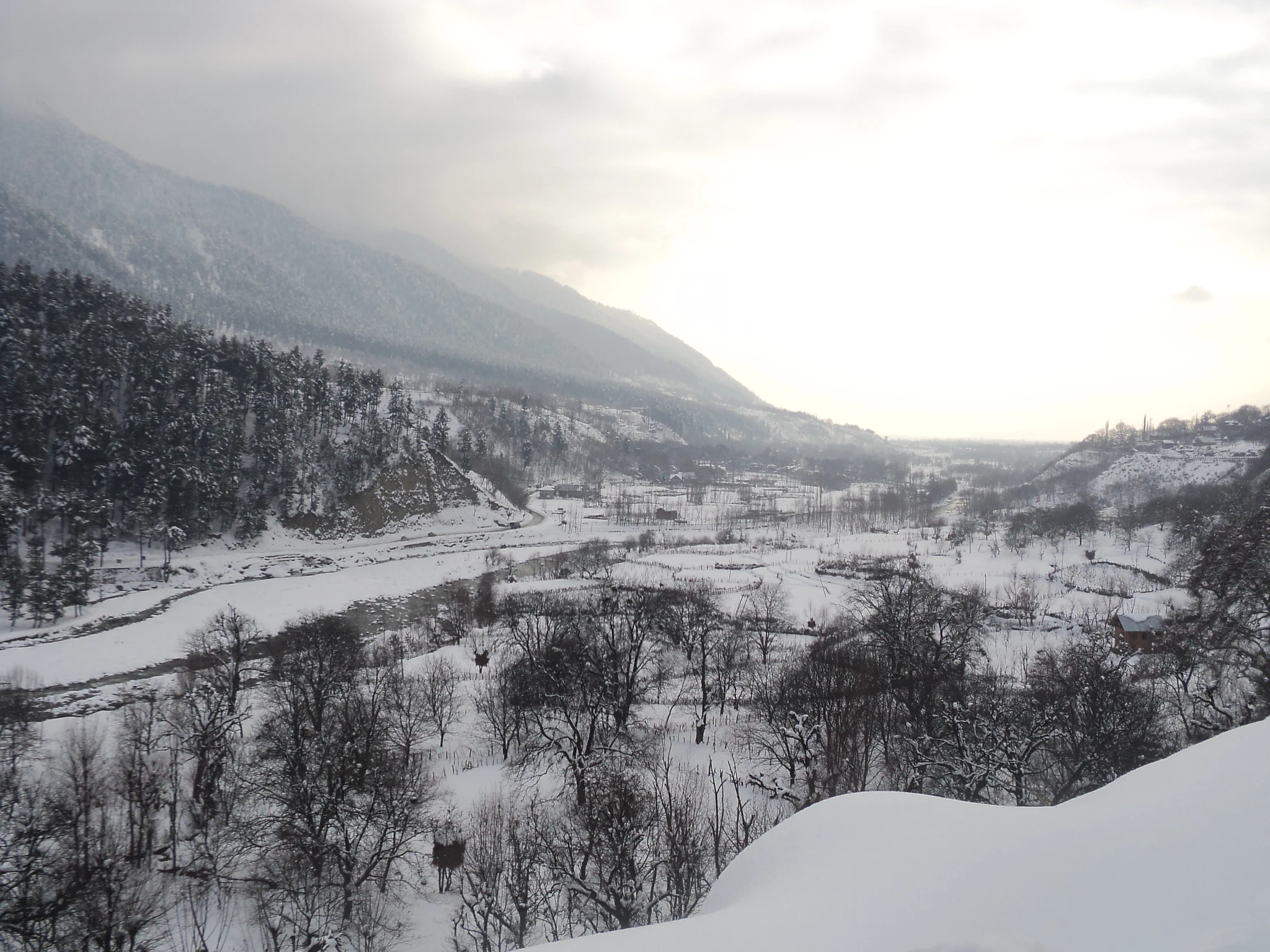 The Lidder valley at Pahalgam under fresh winter snow, with snow-laden pines and bare orchards The Lidder valley at Pahalgam under fresh winter snow, with snow-laden pines and bare orchards